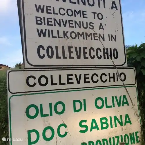 ¡Bienvenido a Collevecchio, el corazón de la mejor producción de aceite de oliva italiano!