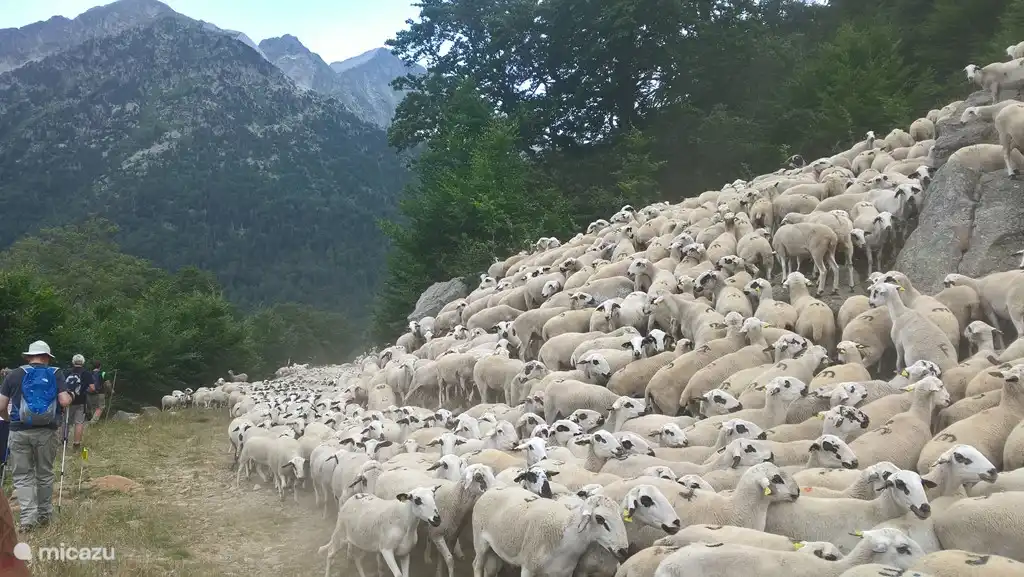 paseando por baqueira