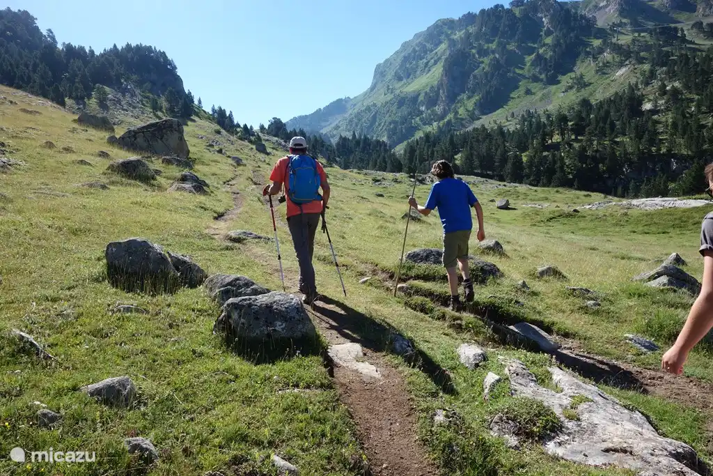 Caminando en plat de beret