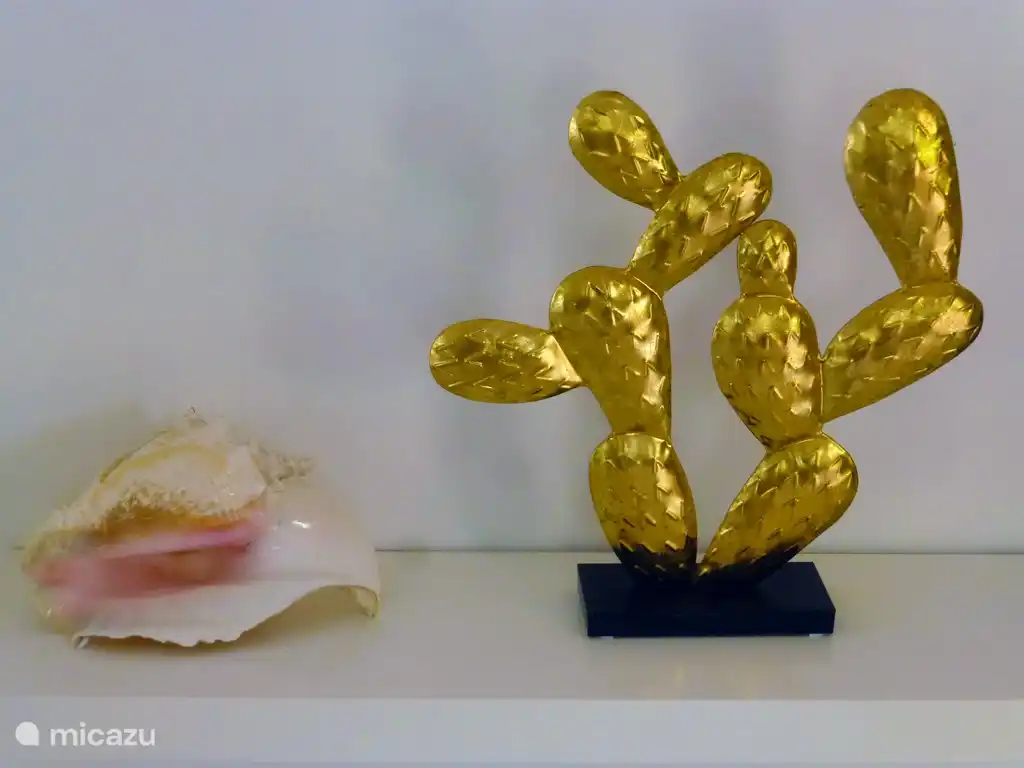 Proud Paradise Bonaire