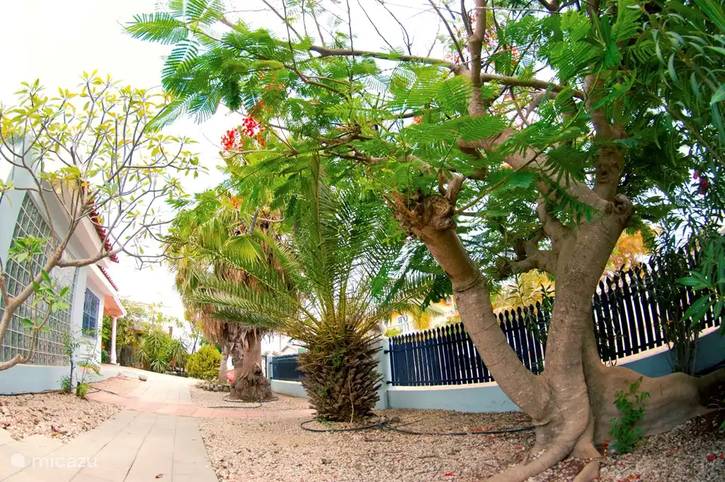 Proud Paradise Bonaire