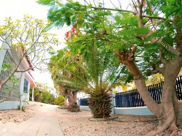 Location de Vacances Bonaire, Bonaire, Playa Pariba, maison de vacances - Proud Paradise Bonaire Fier paradis Bonaire