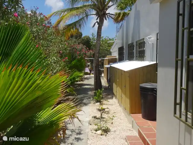 Location de Vacances Bonaire, Bonaire, Playa Pariba, maison de vacances - Proud Paradise Bonaire Jardin