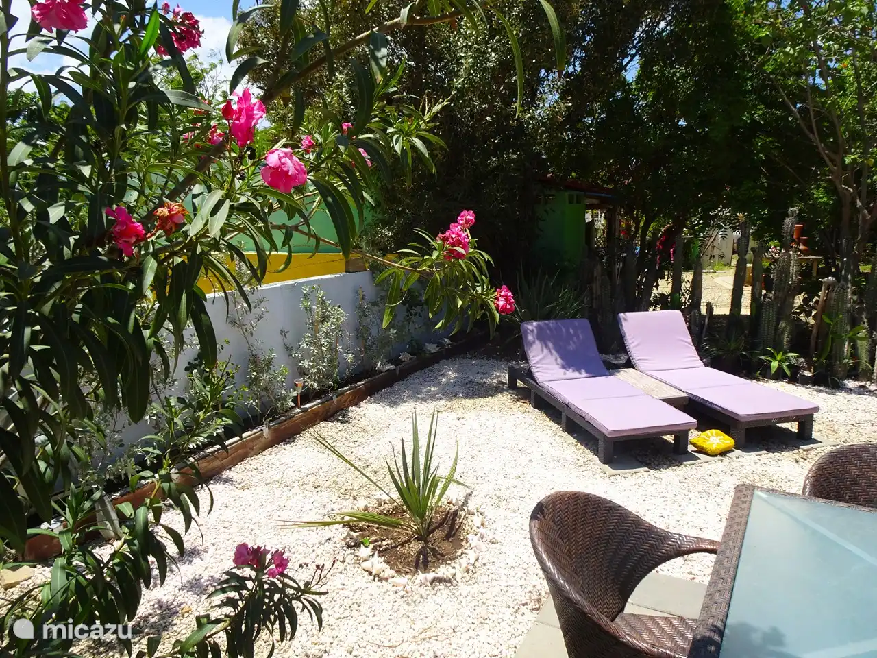 Stolzes Paradies Bonaire