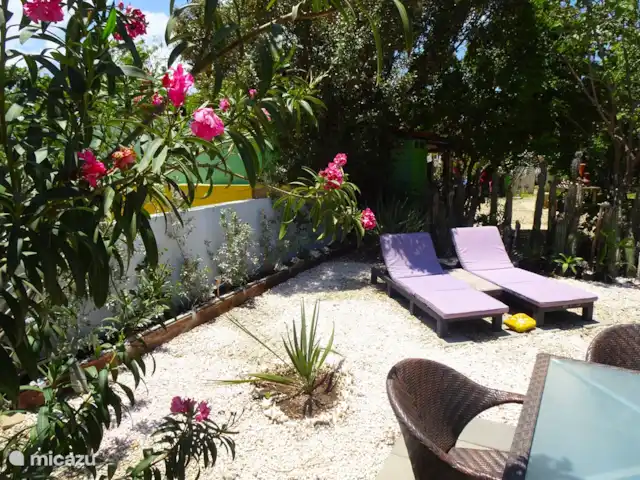 Location de Vacances Bonaire, Bonaire, Playa Pariba, maison de vacances - Proud Paradise Bonaire Fier Paradis Bonaire