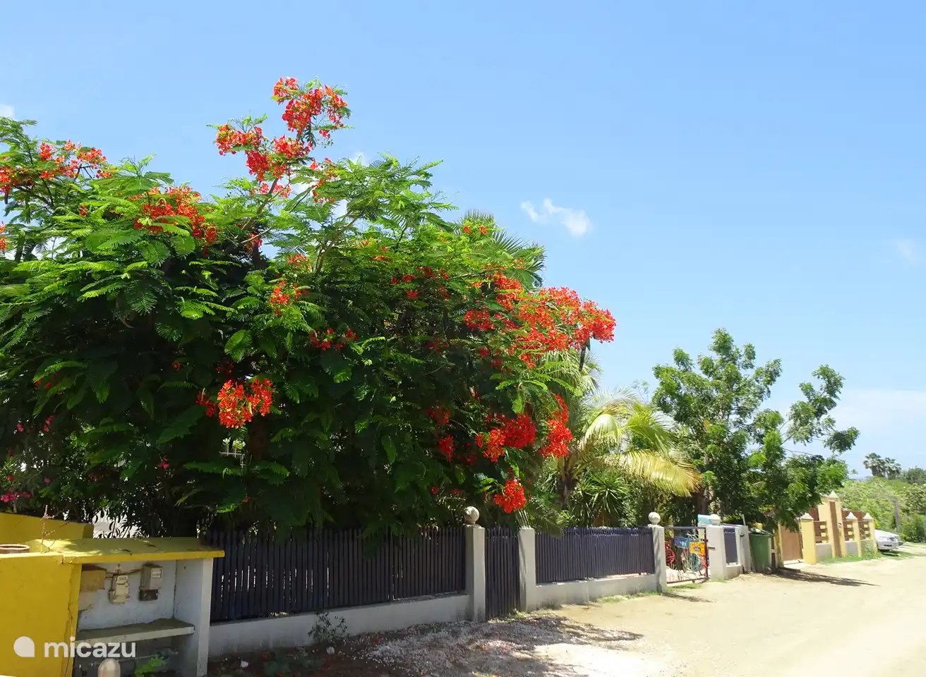 Stolzes Paradies Bonaire