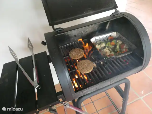 Location de Vacances Bonaire, Bonaire, Playa Pariba, maison de vacances - Proud Paradise Bonaire Barbecue