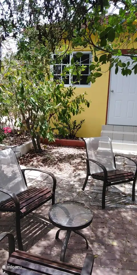 patio : vent, ombre, oiseaux, fleurs