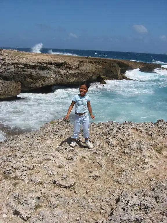 la belle côte nord accidentée