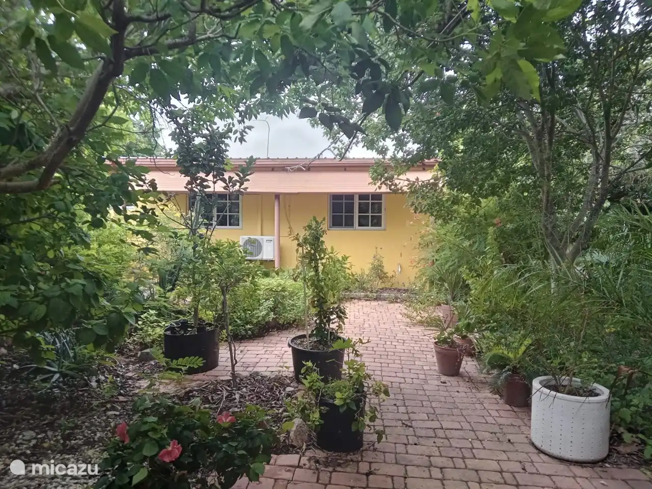Un appartement spacieux dans un grand jardin rempli d'arbres, de plantes, d'oiseaux, d'iguanes et de papillons.