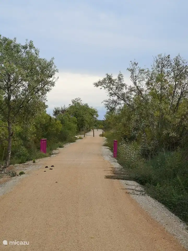 Schöner Radweg zwischen St. Chinian und Cazouls