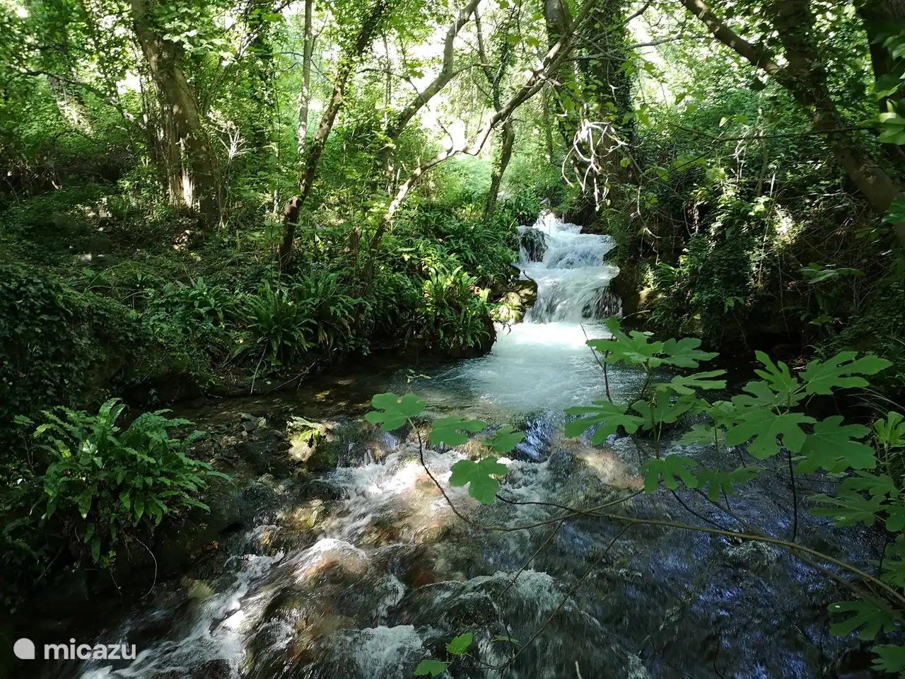 der Vernazobre in der Nähe der Quelle.