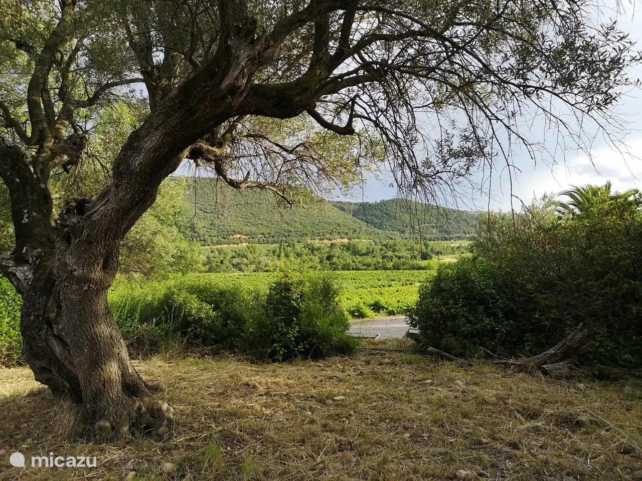 Blick direkt außerhalb des Gartens.