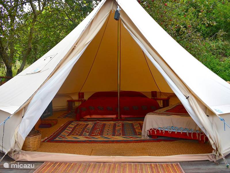 Holiday home in Italy, Tuscany, Santa Fiora Glamping / Safari tent / Yurt Glamping tent 4