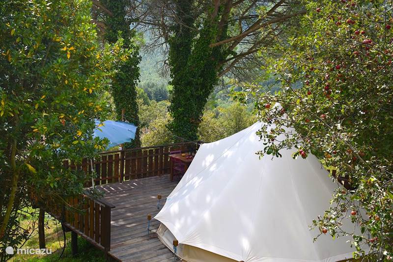 Vakantiehuis Italië, Toscane, Santa Fiora Glamping / Safaritent / Yurt  Podere di Maggio - Glamping tent 4