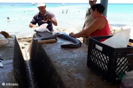 Playa Grandi/ Playa Piscado
