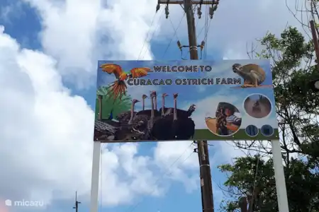 Ferme d'autruches de Curaçao