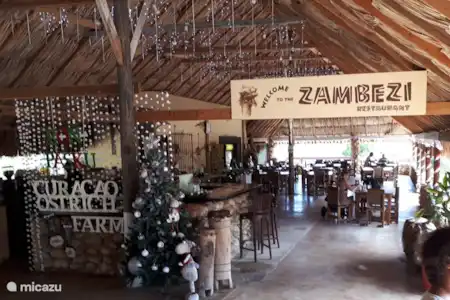Ferme d'autruches de Curaçao
