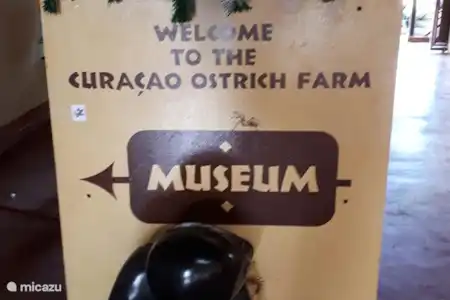 Ferme d'autruches de Curaçao