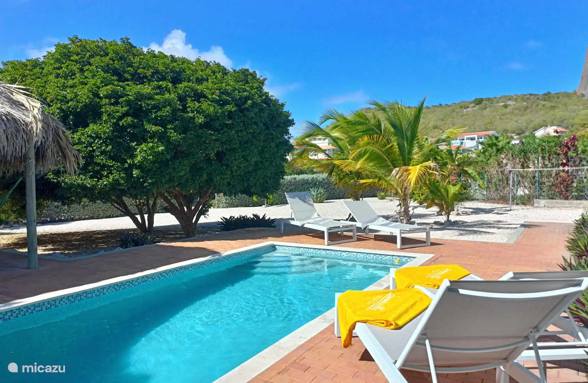 Uitzicht over het zwembad, naar de grote tuin. Geen last van buren, heel prive in je eigen tuin