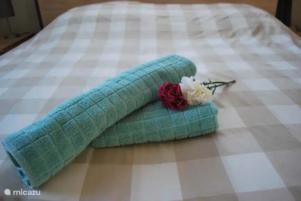 Chambre des maîtres