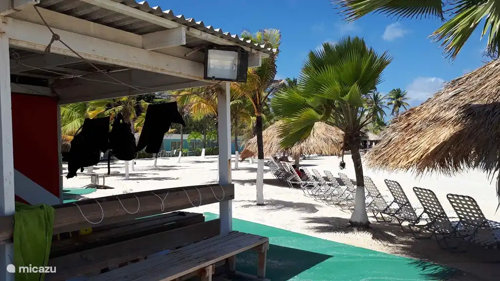 Une véritable école de plongée, tout à portée de main.