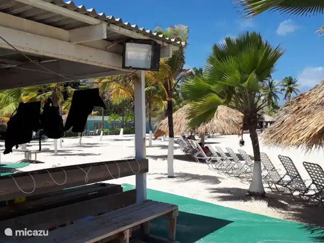 Bistro Nunka | Curaçao, Banda Abou (ouest), Fontein - villa Une véritable école de plongée, tout à portée de main.