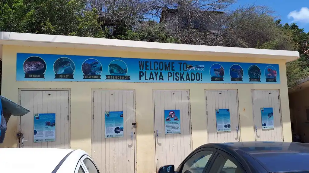 Playa Piscado. Ici, les tortues nagent autour de la jetée. Bancs de poissons parmi lesquels vous pouvez plonger