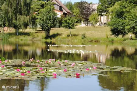 Vakantiehuis Frankrijk, Dordogne, Sarlande geschakelde woning La Marmite Vakantiehuis Frankrijk, Dordogne, Sarlande geschakelde woning La Marmite