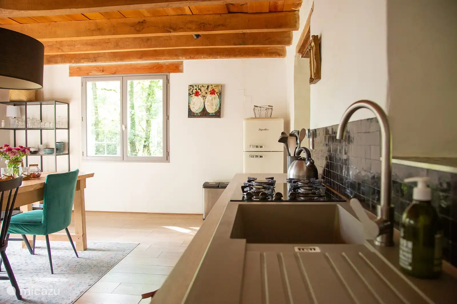 Spüle/separater Kühlschrank