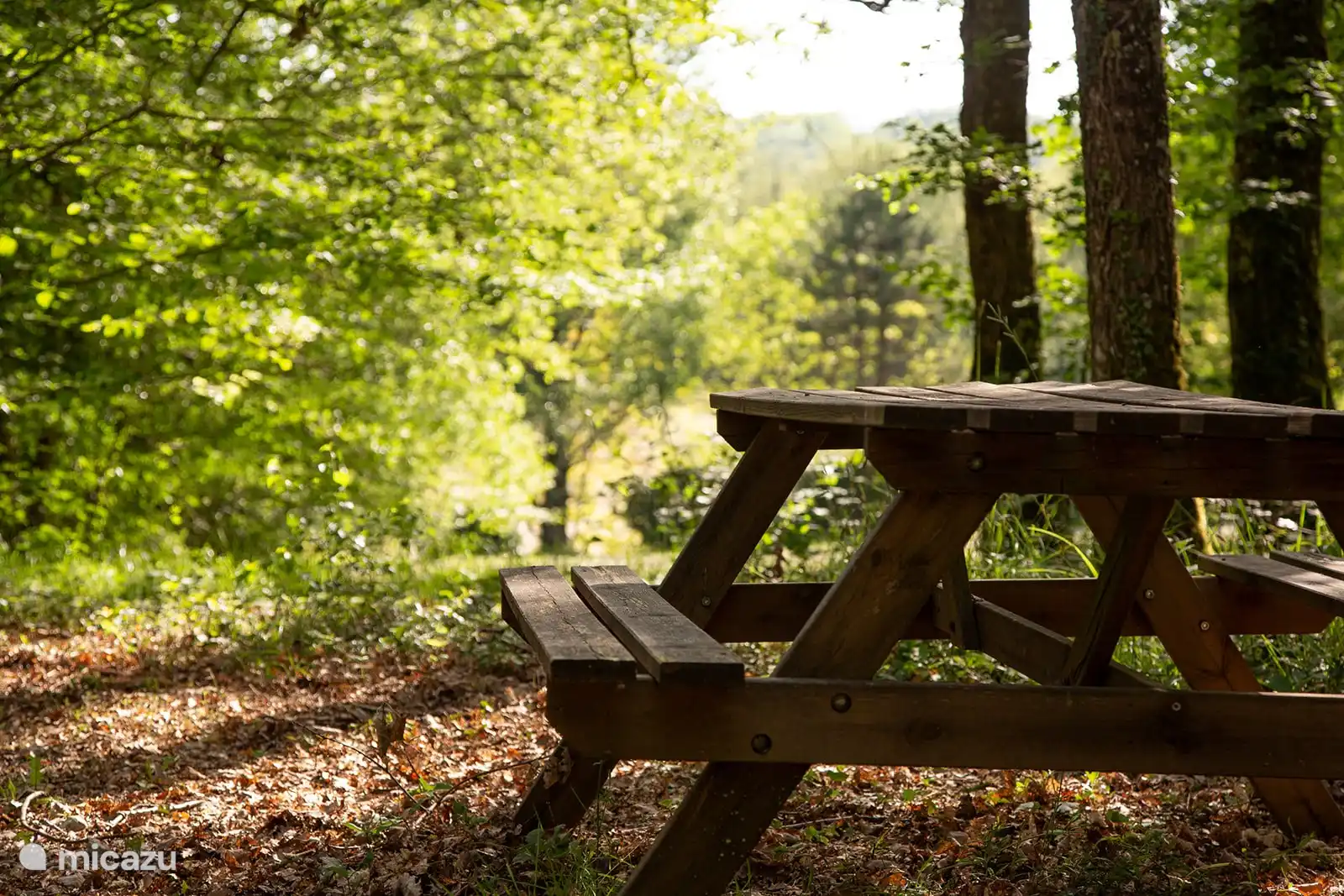 Ein Picknicktisch zum Genießen im Schatten