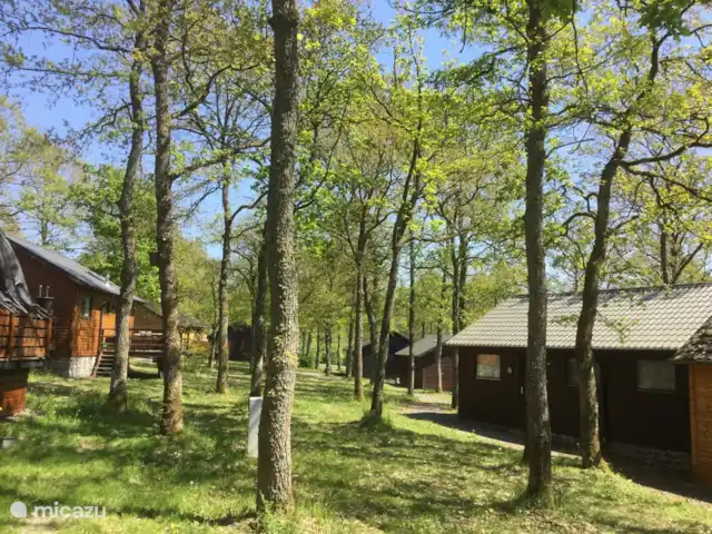 Enjoyerke | Belgique, Ardennes, Heure - chalet parc