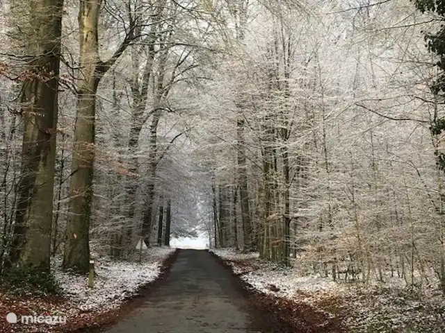 Enjoyerke | Belgique, Ardennes, Heure - chalet alentours