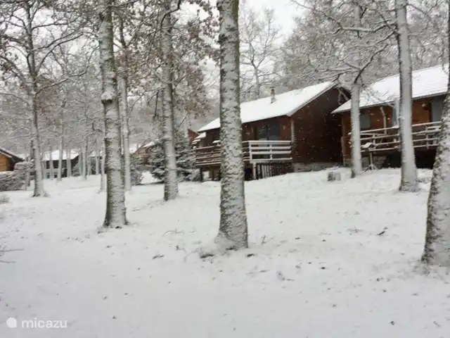 Enjoyerke | Belgique, Ardennes, Heure - chalet alentours