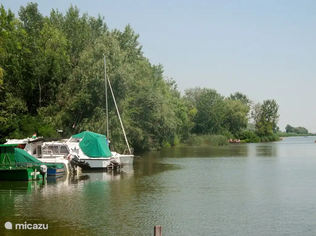 Theiß-See, ein Paradies für Angler