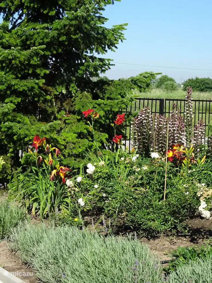 flower border at entrance gate