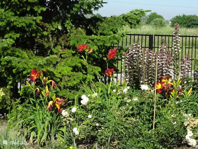 vakantiehuis huren in Hongarije, Tiszameer, Poroszlo – Mélody Haz bloemenborder bij ingangspoort