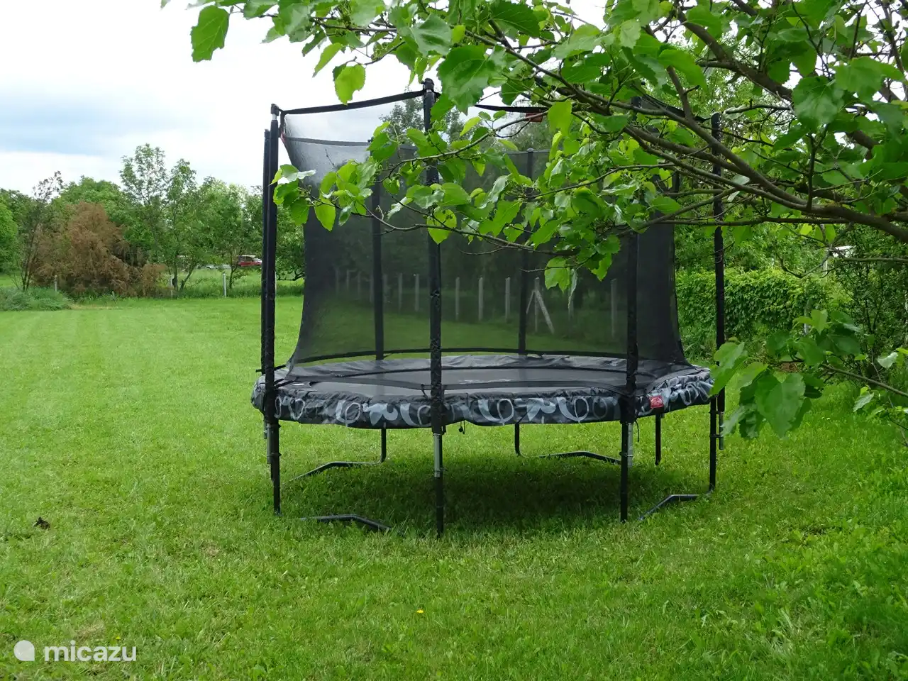 trampoline in the garden