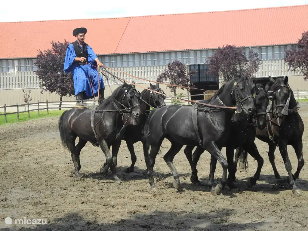 Hortobagy, horse show at the Puszta