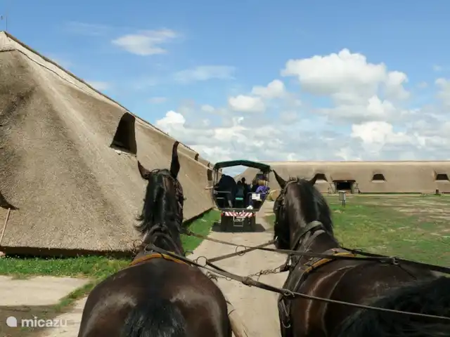 vakantiehuis huren in Hongarije, Tiszameer, Poroszlo – Mélody Haz Huifkartocht op de Poesta