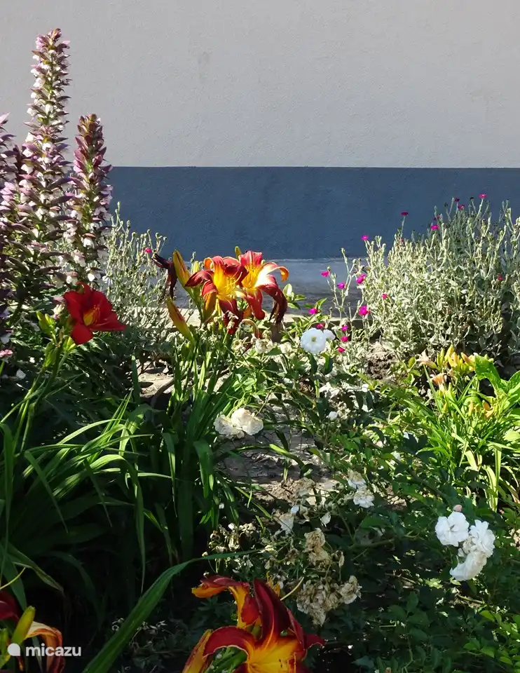 Flowers at the hanging of the building