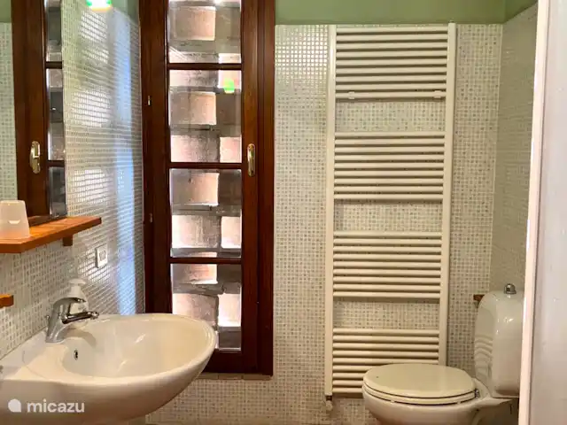 Location de Vacances Italie, Toscane, Lucca, villa - Grange toscane rustique