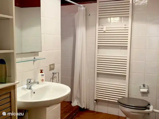 Location de Vacances Italie, Toscane, Lucca, villa - Grange toscane rustique