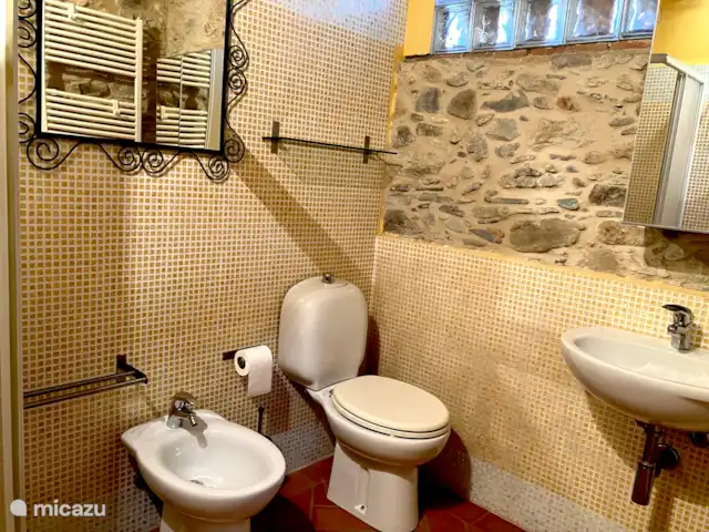 Location de Vacances Italie, Toscane, Lucca, villa - Grange toscane rustique