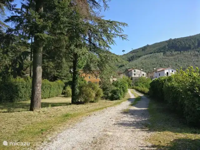 Location de Vacances Italie, Toscane, Lucca, villa - Grange toscane rustique L 'allée