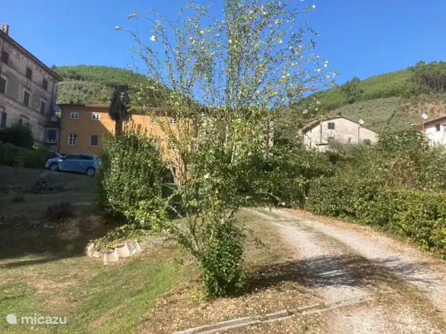 Location de Vacances Italie, Toscane, Lucca, villa - Grange toscane rustique Villa Allegra, ferme et grange rustique séparée, de la piscine.
