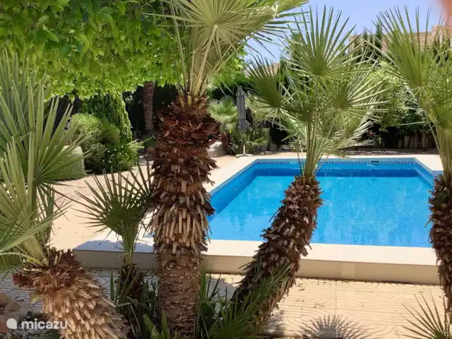 casa del mar en España, Costa Blanca, Ciudad Quesada - villa en la piscina