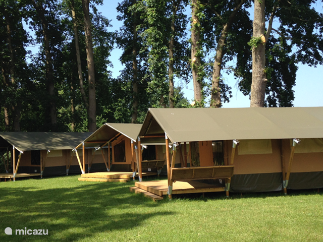 Holiday home in Germany, Lower Saxony, Warmsen - glamping / safari tent / yurt Ferienhof BrinkOrt 3