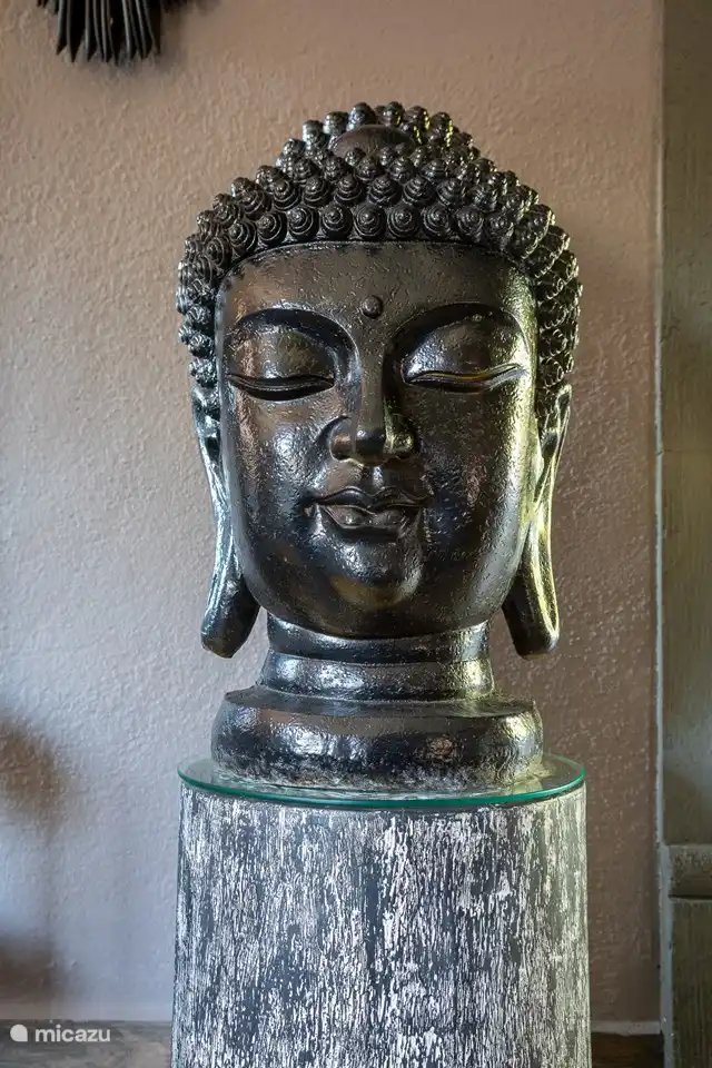 Sí, amamos Bali, tenemos una hermosa casa allí www.balihuis.nu