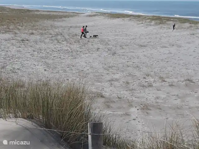 Location de Vacances Pays-Bas, Hollande du Nord, Schoorldam, bungalow - Rekere 111 à Schoorldam Plage